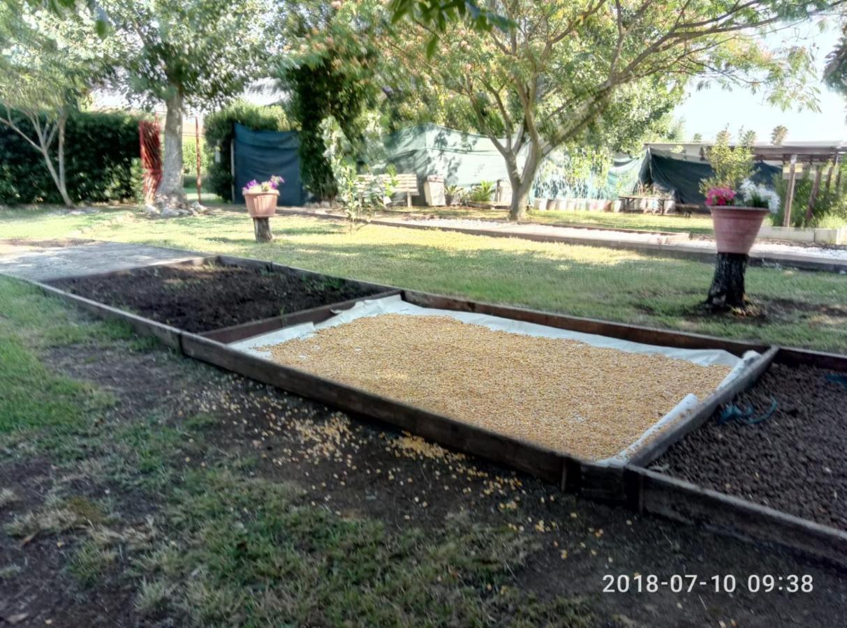Casadolcecasalatina Acomodação com café da manhã Exterior foto